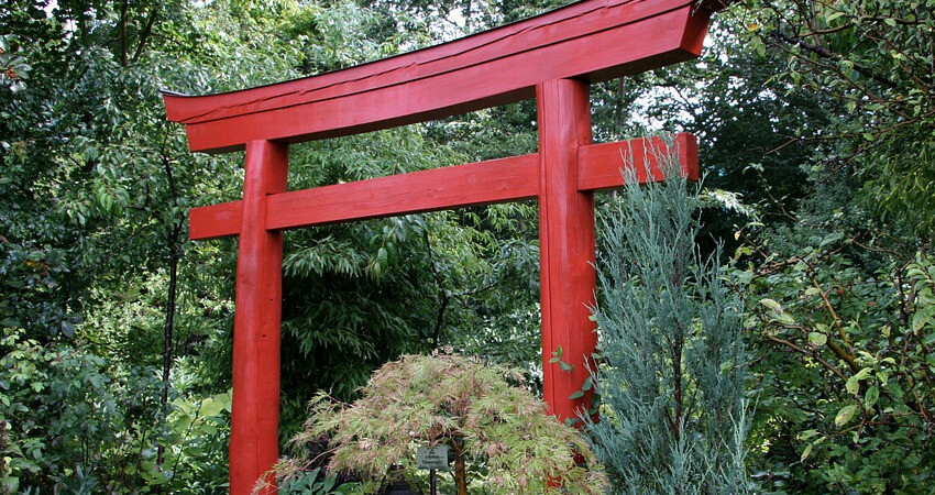 Torii -brama - ogrody japońskie